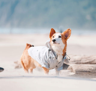 Ellie Dog Wear Dog Raincoat Light Grey | Henlo Pets