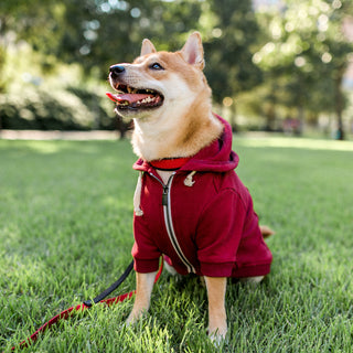 Ellie Dog Wear Dog Hoodie Maroon | Henlo Pets