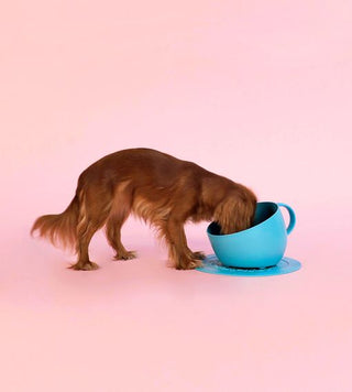 United Pets SET CUP Large 2.5L Capacity Dog Bowl with Non-Slip Placemat - Aquamarine | Henlo Pets