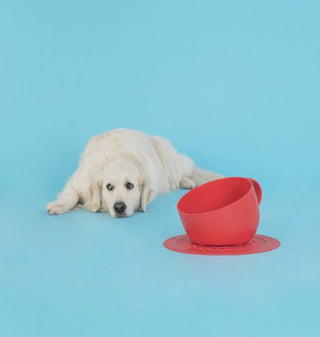 United Pets SET CUP Large 2.5L Capacity Dog Bowl with Non-Slip Placemat - Red | Henlo Pets