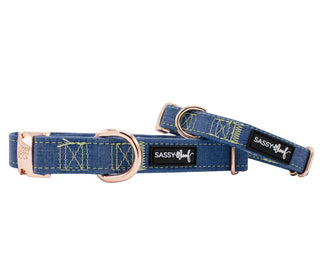 Sassy Woof Collar - Denim | Henlo Pets