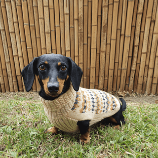 Alqo Wasi Golden Dreams Alpaca Dog Sweater | Henlo Pets