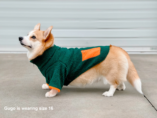 wagwear Monkey Fleece Jacket Green & Orange | Henlo Pets