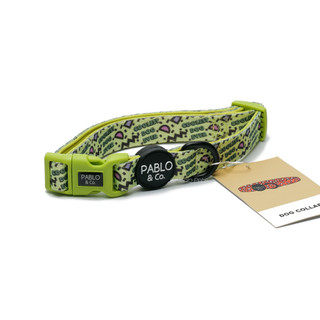 Pablo & Co Coolest Dog Ever Dog Collar | Henlo Pets