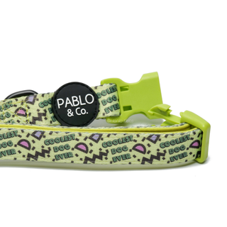 Pablo & Co Coolest Dog Ever Dog Collar | Henlo Pets