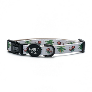Pablo & Co Coconut Island Dog Collar | Henlo Pets