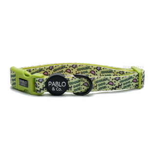 Pablo & Co Coolest Dog Ever Dog Collar | Henlo Pets