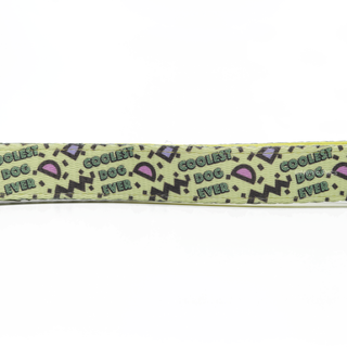 Pablo & Co Coolest Dog Ever Dog Collar | Henlo Pets