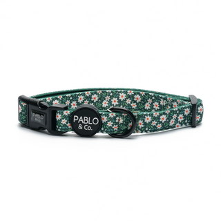 Pablo & Co The Flower Garden Dog Collar | Henlo Pets