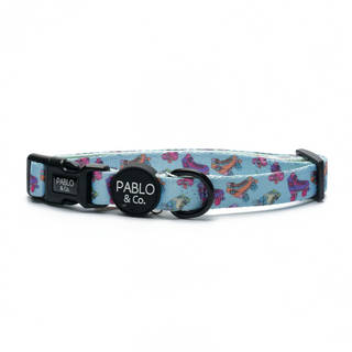 Pablo & Co Roller Skates Dog Collar | Henlo Pets