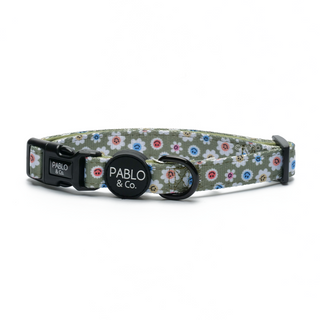 Pablo & Co Smiley Flowers Dog Collar | Henlo Pets