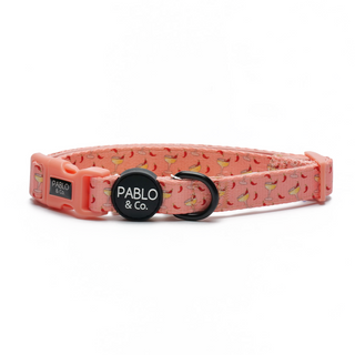 Pablo & Co Spicy Margarita Dog Collar | Henlo Pets