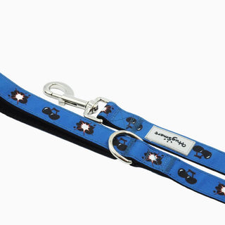 HugSmart Cherry Boom Dog Leash | Henlo Pets