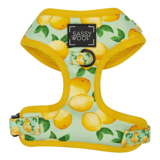 Sassy Woof Adjustable Harness - Main Squeeze | Henlo Pets