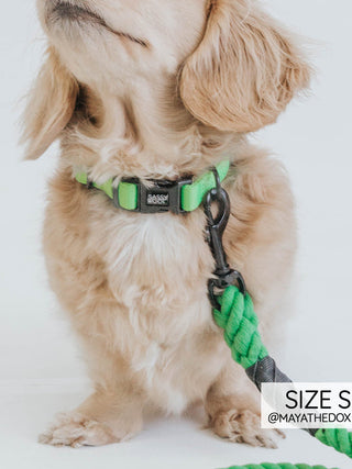 Sassy Woof Collar - Neon Green | Henlo Pets