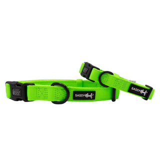 Sassy Woof Collar - Neon Green | Henlo Pets