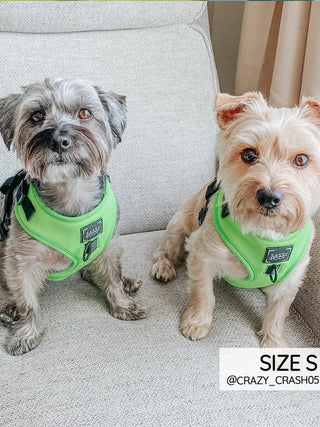 Sassy Woof Adjustable Harness - Neon Green | Henlo Pets