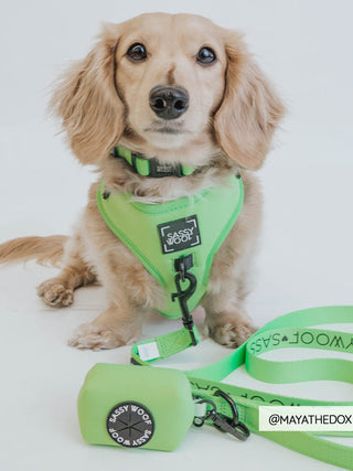 Sassy Woof Adjustable Harness - Neon Green | Henlo Pets