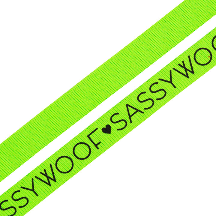 Sassy Woof Leash - Neon Green - Henlo Pets