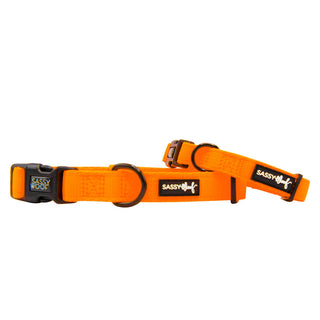 Sassy Woof Collar - Neon Orange | Henlo Pets