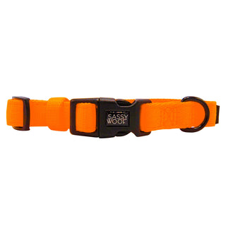 Sassy Woof Collar - Neon Orange | Henlo Pets