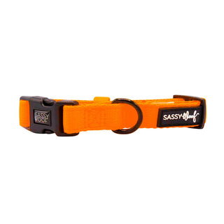 Sassy Woof Collar - Neon Orange | Henlo Pets