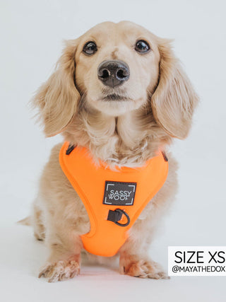 Sassy Woof Adjustable Harness - Neon Orange | Henlo Pets