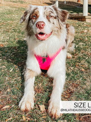 Sassy Woof Adjustable Harness - Neon Pink | Henlo Pets