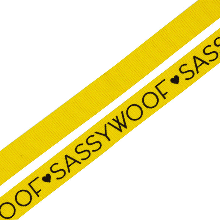 Sassy Woof Leash - Neon Yellow - Henlo Pets
