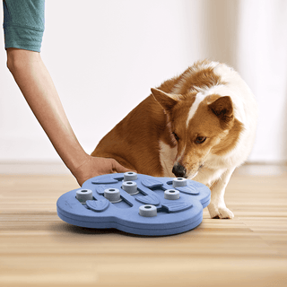 Nina Ottosson Dog Hide N Slide Purple | Henlo Pets