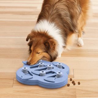 Nina Ottosson Dog Hide N Slide Purple | Henlo Pets