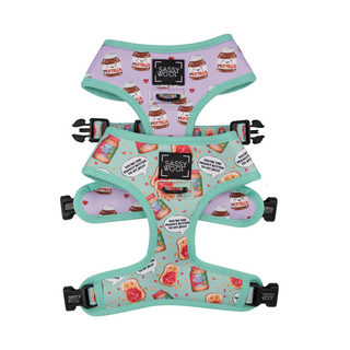 Sassy Woof Reversible Harness - Spread the Love | Henlo Pets