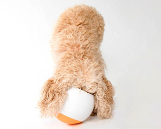 All Fur You Wobbler Slow Feeder Orange | Henlo Pets