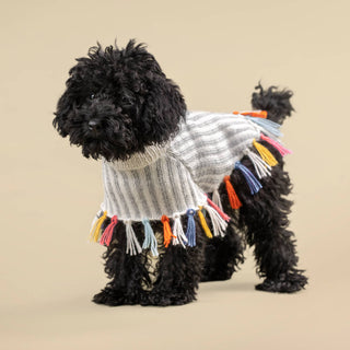 Alqo Wasi Rainbow Fringe Alpaca Dog Poncho | Henlo Pets