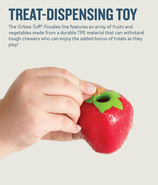 Planet Dog Orbee Tuff Strawberry Treat Dispensing Chew Toy | Henlo Pets