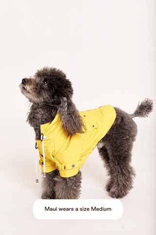 maxbone Talon Raincoat Yellow | Henlo Pets
