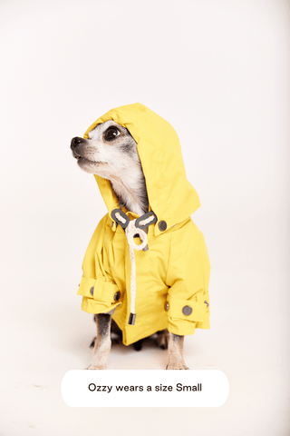 maxbone Talon Raincoat Yellow | Henlo Pets