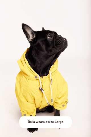 maxbone Talon Raincoat Yellow | Henlo Pets