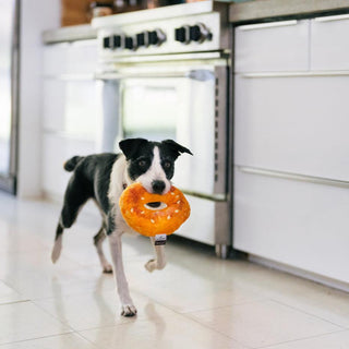 P.L.A.Y. x Earth Rated Montreal Bagel Plush Dog Toy | Henlo Pets