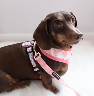Sassy Woof Leash - Dolce Rose | Henlo Pets