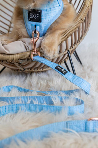 Sassy Woof Leash - Blumond | Henlo Pets