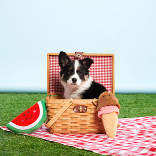 NomNomz Watermelon | Henlo Pets