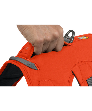 RUFFWEAR Web Master Dog Harness Blaze Orange | Henlo Pets