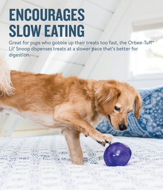 Outward Hound Orbee-Tuff Lil' Snoop Treat Dispensing Dog Toy | Henlo Pets
