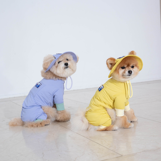 Puppy Gallery