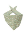 Spring Meadow Bandana - Henlo Pets