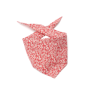 Blossom Charm Bandana - Henlo Pets