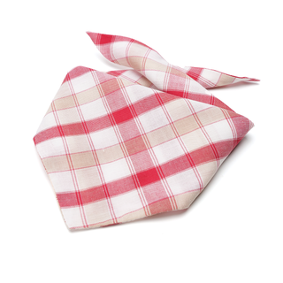 Cherry Plaid Bandana - Henlo Pets