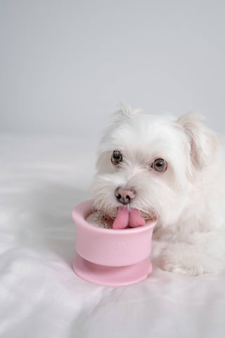 Lunoji CHEWDEN Trove Frozen Treat Cup Dog Enrichment Feeder