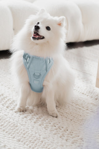 Peachy Dogs Cloud Classic 2.0 Harness - Henlo Pets